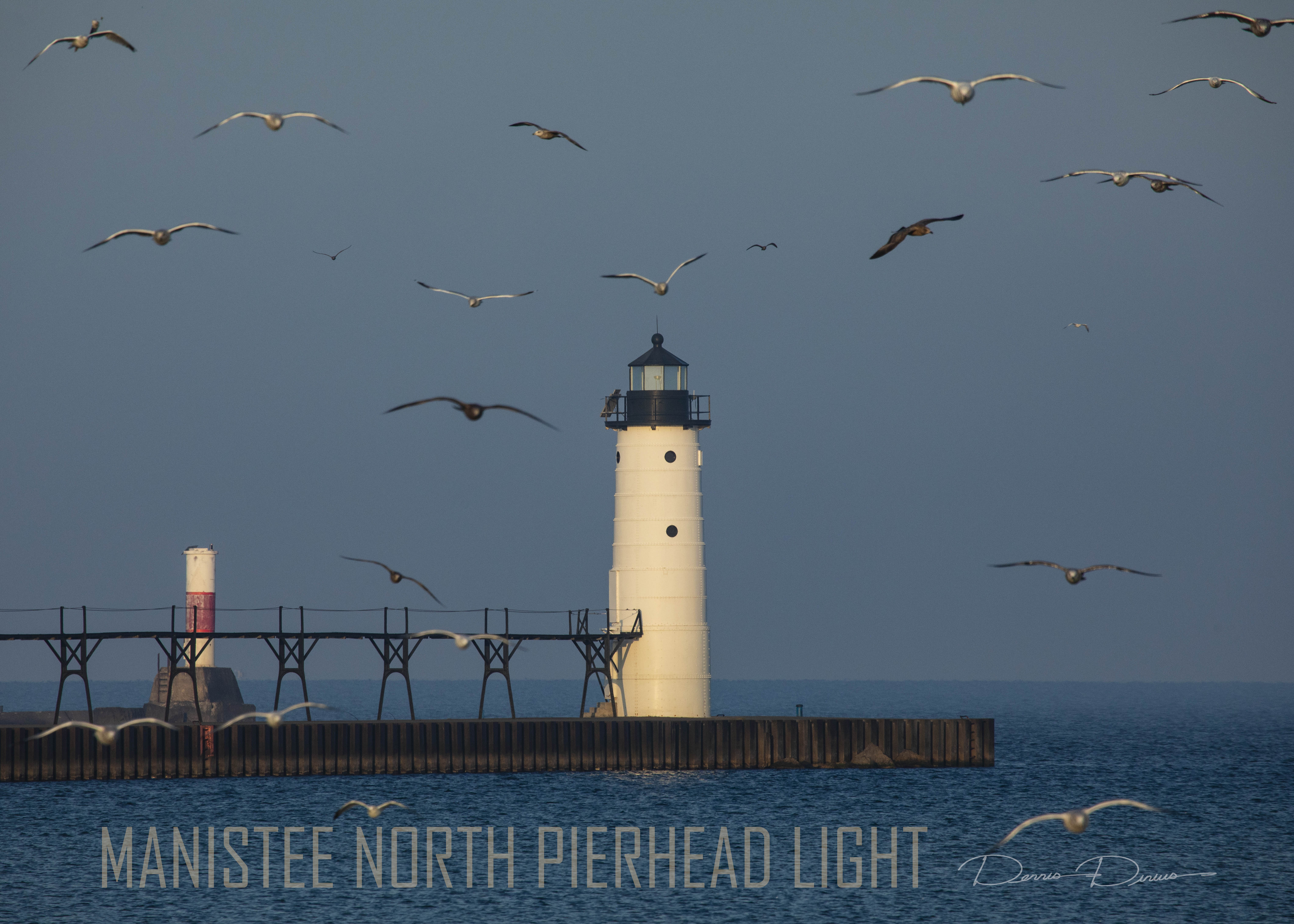 2024-0920-4901-ManisteeNorthPierheadLightBirds.jpg