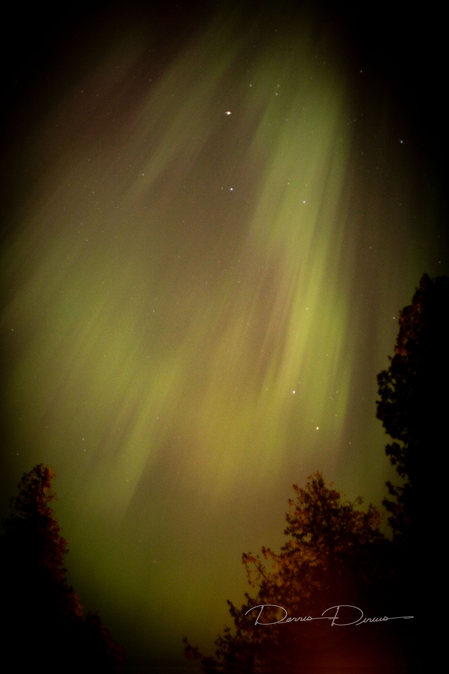 2024-1011-7752-AM-Northernlights.jpg