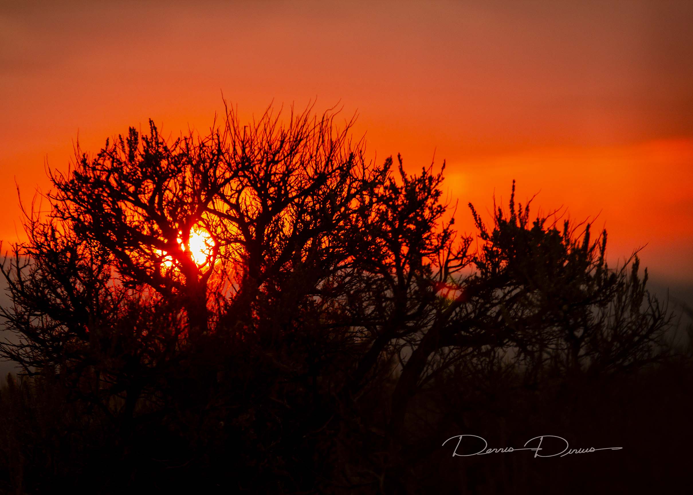 2015-0827-0065-Sunset.jpg