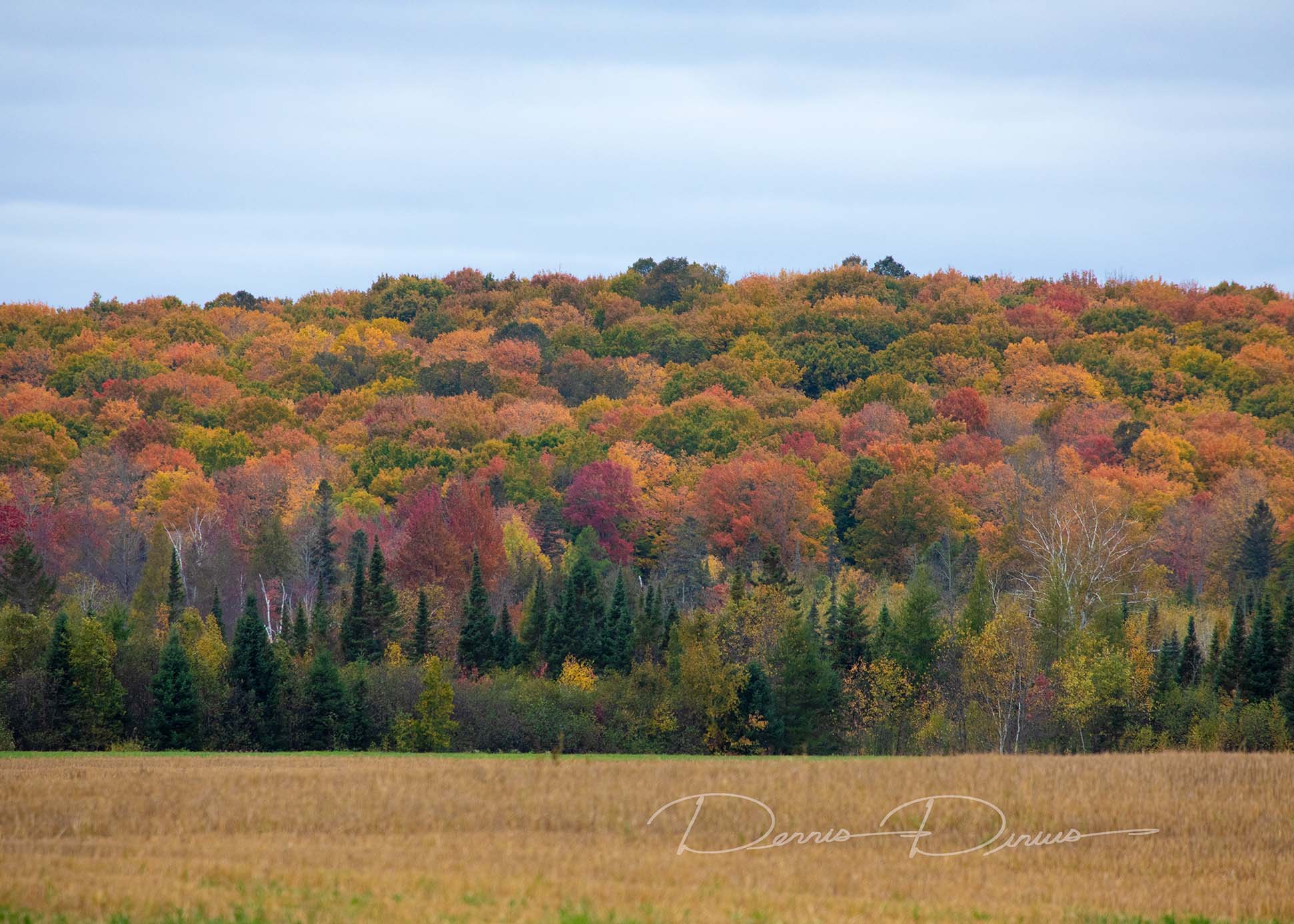 2024-1006-6677-fallColors.jpg